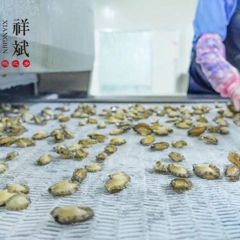 鲍鱼，九孔鲍，三去鲍鱼，免洗厂家直供批不缩水，质量保证！