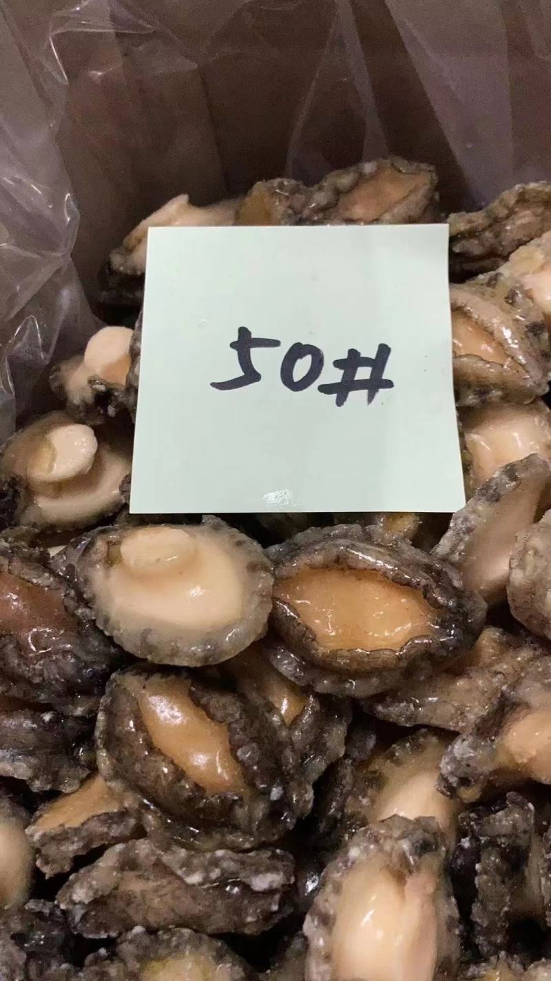 鲍鱼，九孔鲍，三去鲍鱼，免洗厂家直供批不缩水，质量保证！