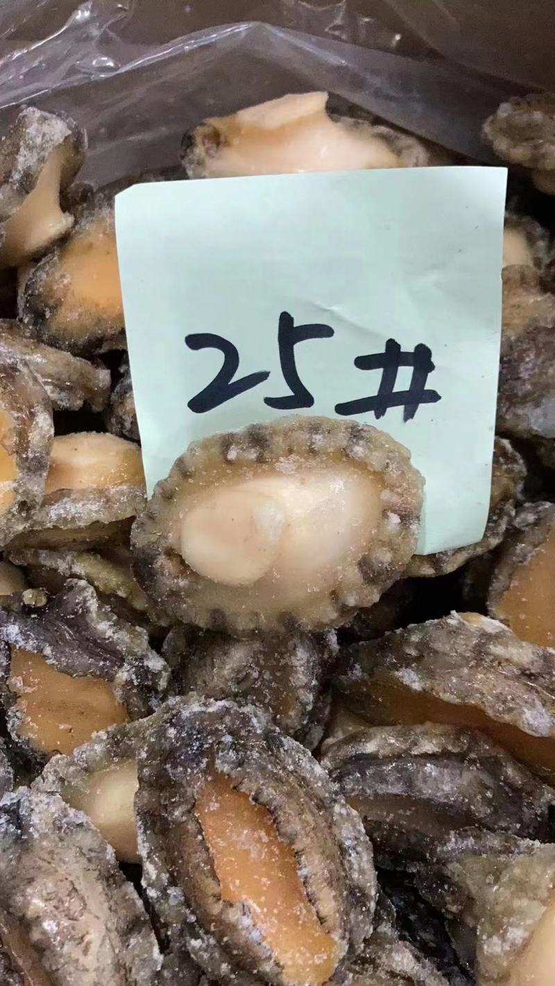 鲍鱼，九孔鲍，三去鲍鱼，免洗厂家直供批不缩水，质量保证！
