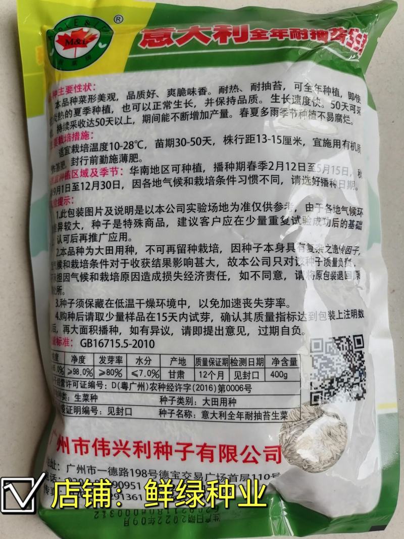 意大利全年耐抽苔生菜菜形美观品质好，爽脆味甜可全年种植