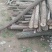 柳树杆