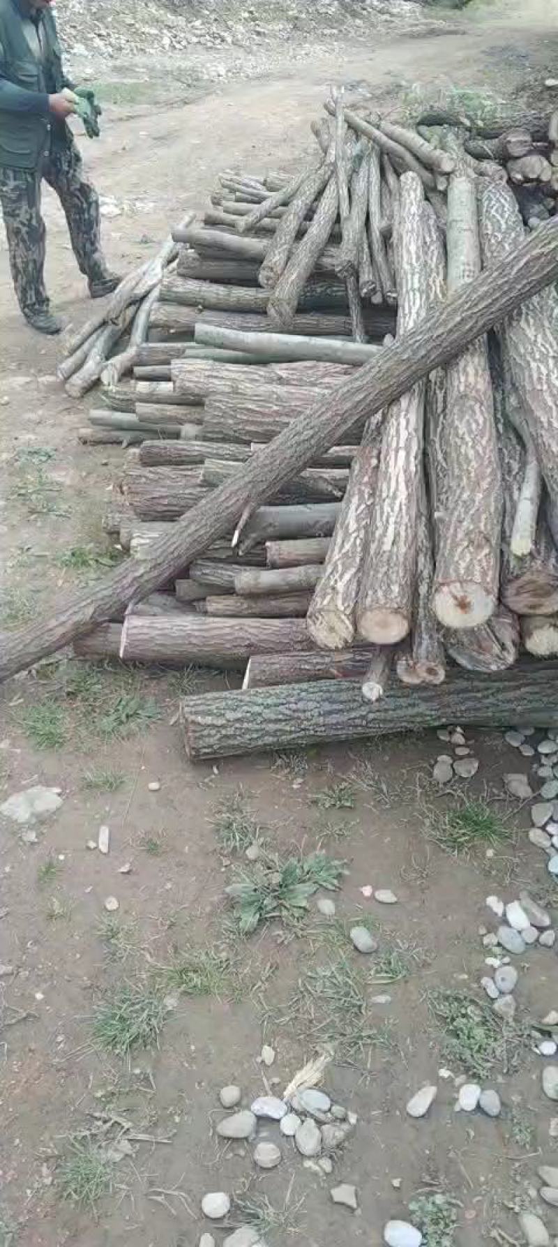 柳树杆