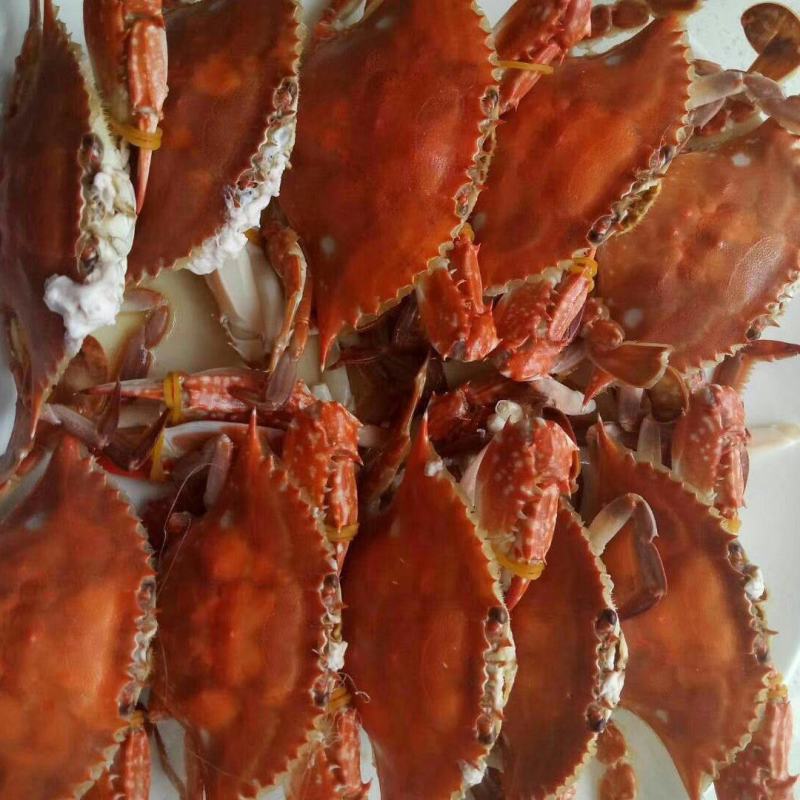 海蟹、梭子蟹。每天新鲜上岸，味道肥美鲜香
