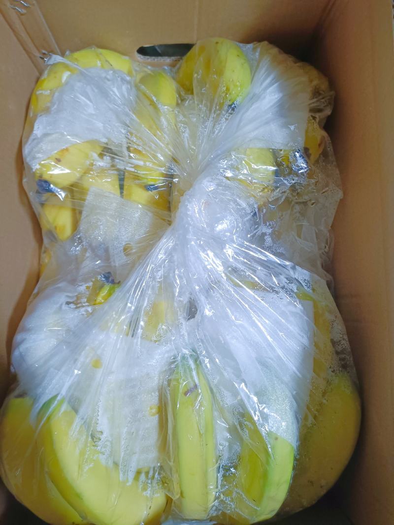 广东广西云南香蕉，常年供应