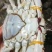海蟹、梭子蟹。每天新鲜上岸，味道肥美鲜香