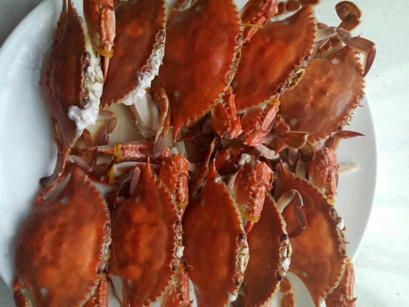 海蟹、梭子蟹。每天新鲜上岸，味道肥美鲜香