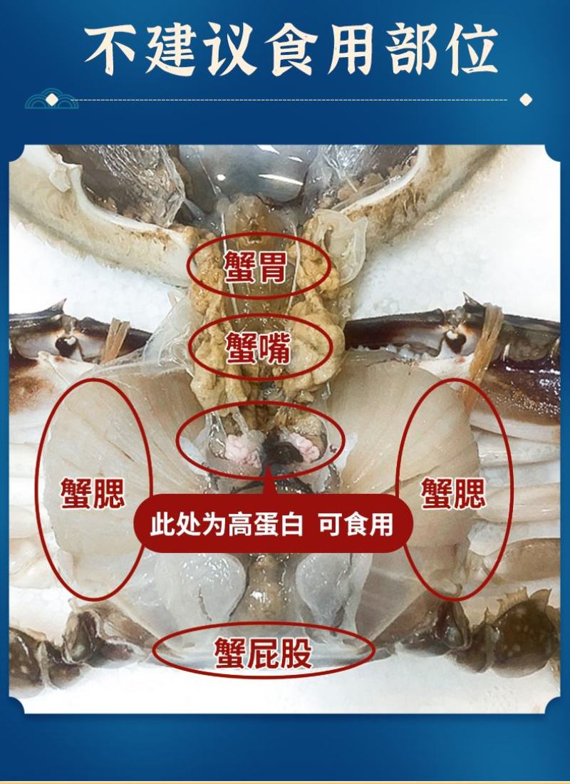 海蟹、梭子蟹。每天新鲜上岸，味道肥美鲜香