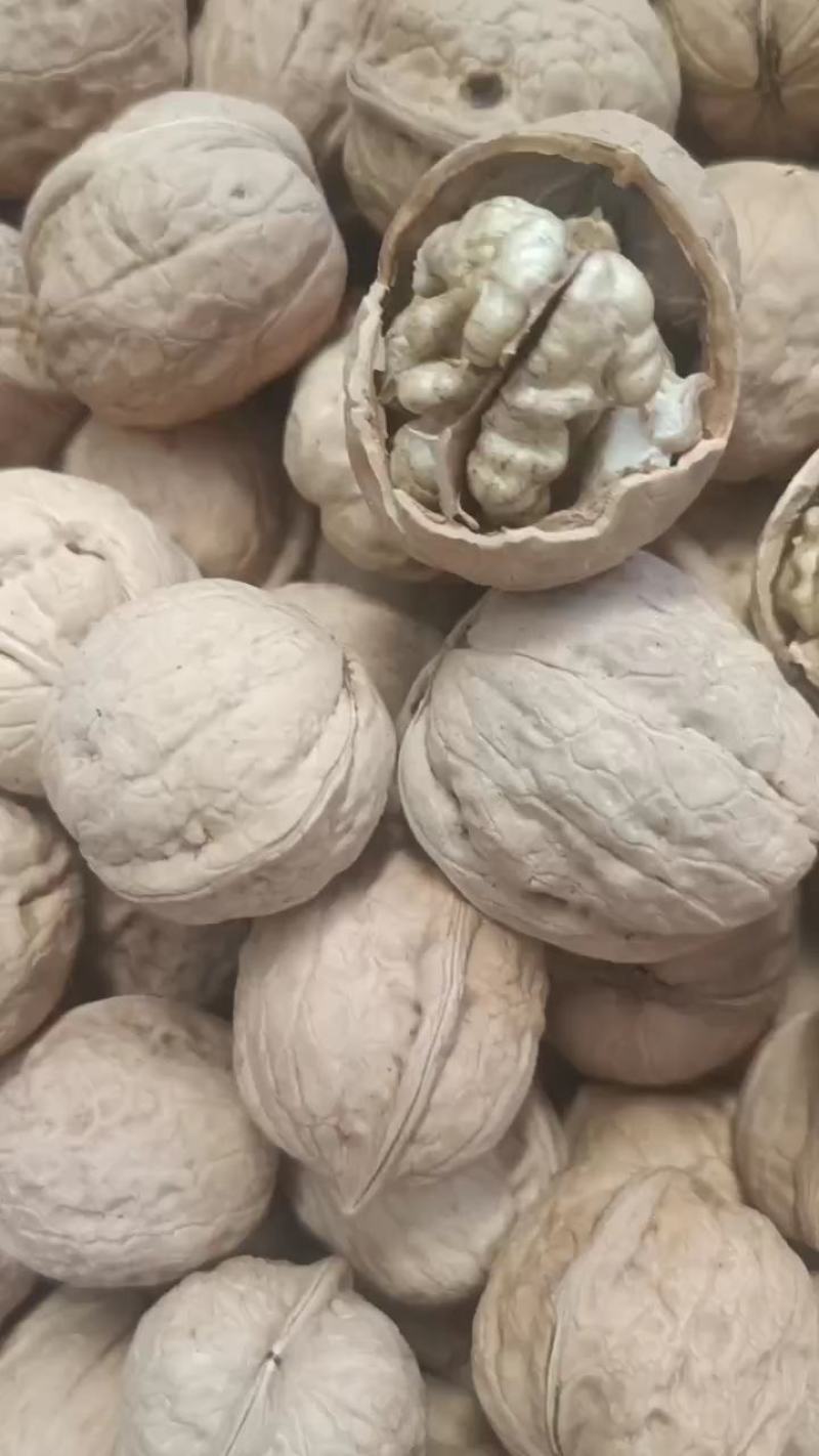 山西核桃