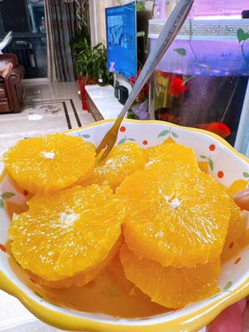 【鲜榨橙全年供应】秭归脐橙纽荷尔长虹中华红伦晚夏橙九月红