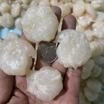 免浆河虾仁