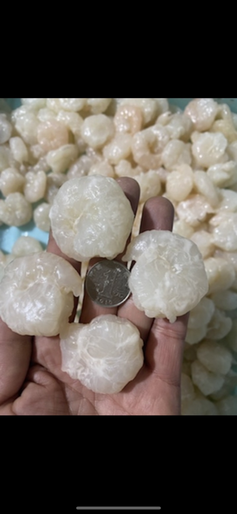 免浆河虾仁