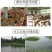 生石灰粉家庭干燥剂消毒除菌除湿防潮防霉驱虫净化水质石灰包