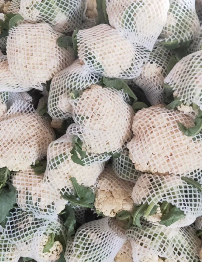 安徽宿州有机花砀山松花菜散花小米花产地直发