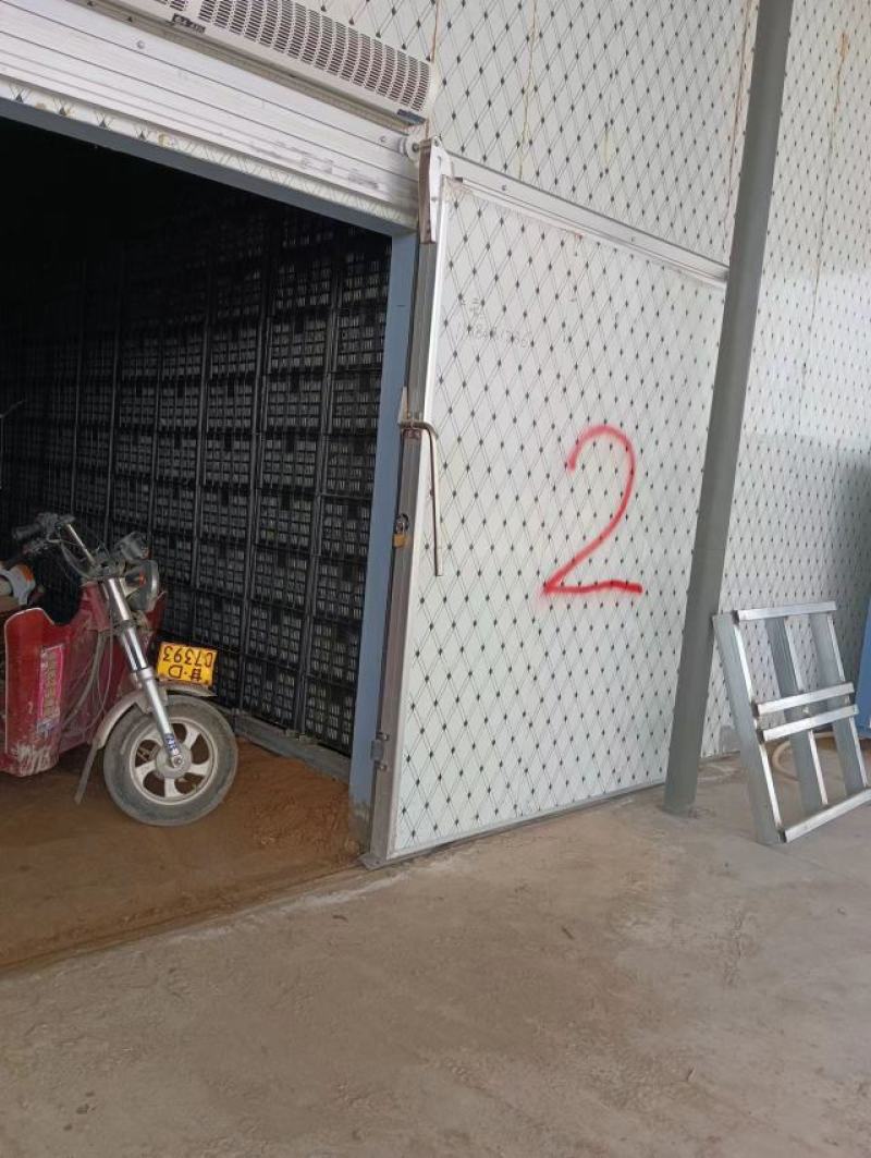 景泰精品皇冠梨，囗感光泽果面都非常好，属于优质产品！