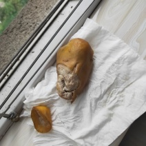 有点鸡宝想卖