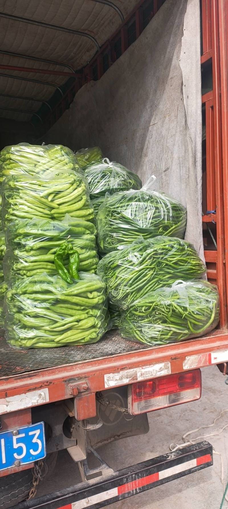 黄皮尖椒上蔡县杨屯乡龚垒，代办，代收，万亩大棚基地，