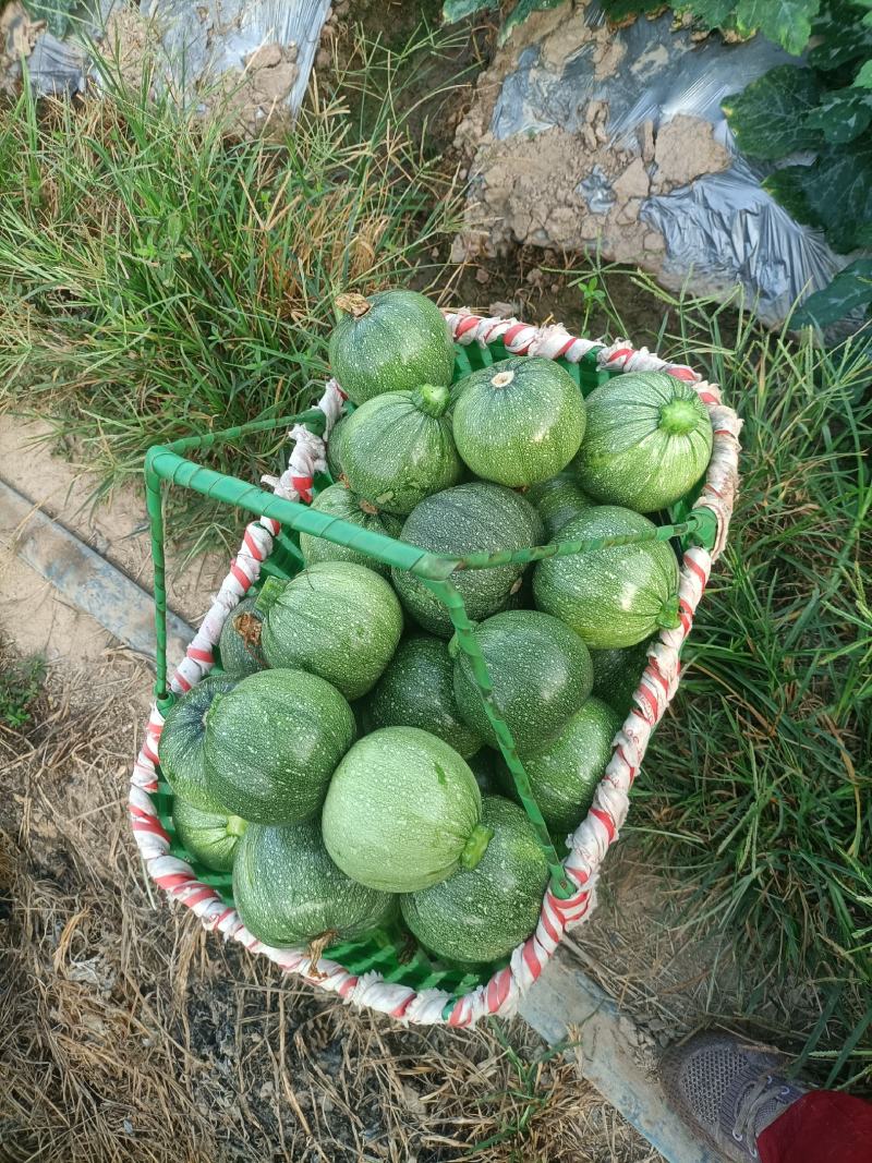 玉米