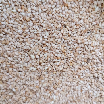 安徽本地高出油率白芝麻，适合油坊，食品厂，直接联系。