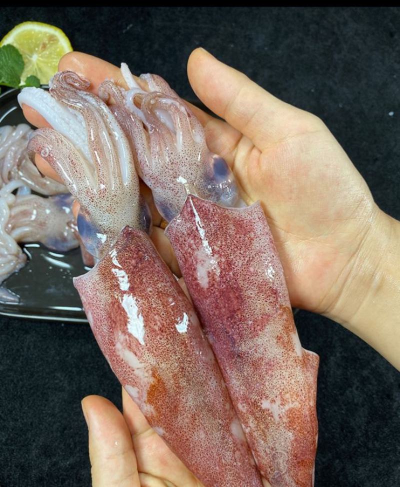 鲜冻大鱿鱼。可红烧、爆炒、涮火锅、铁板鱿鱼