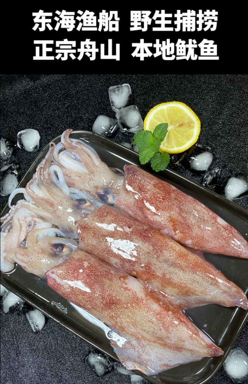 鲜冻大鱿鱼。可红烧、爆炒、涮火锅、铁板鱿鱼