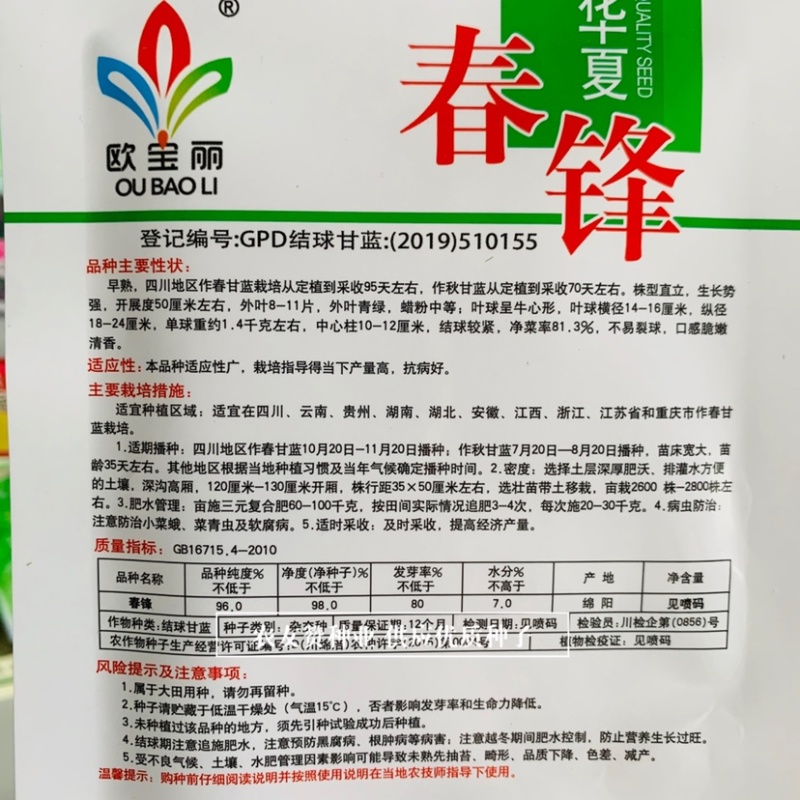 春锋结球甘蓝种子早熟春甘蓝牛心甘蓝种子不易裂球