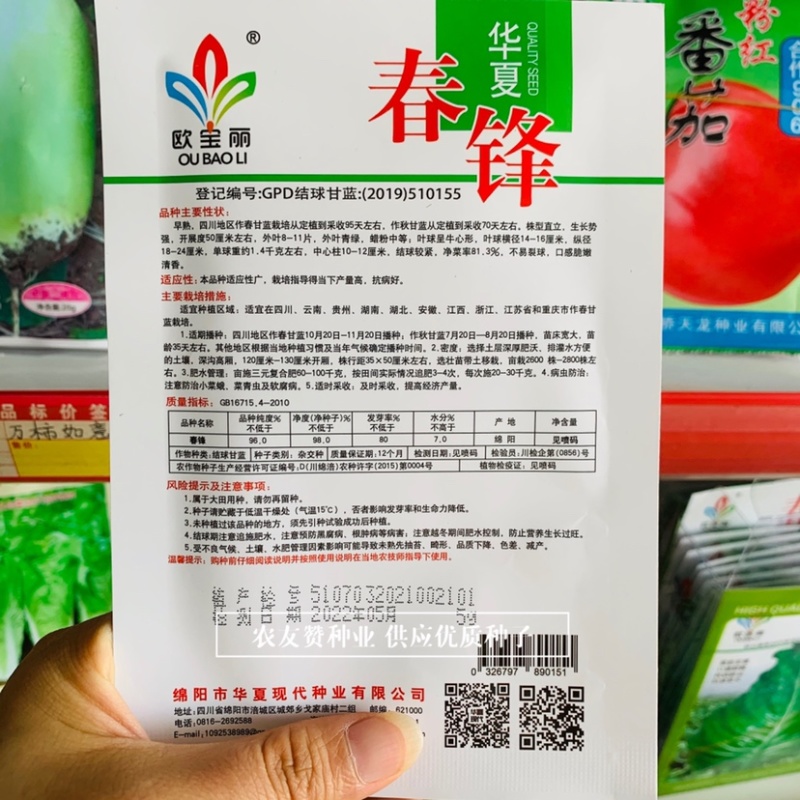 春锋结球甘蓝种子早熟春甘蓝牛心甘蓝种子不易裂球