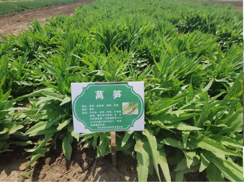 源宝精制有机肥小包装发酵腐熟肥料含有益菌群