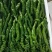 山东费县大棚辣椒大量供应螺丝椒