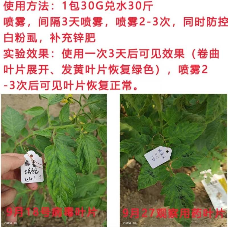 奥力士中微量元素水溶肥防治作物病毒病缩叶卷叶不长