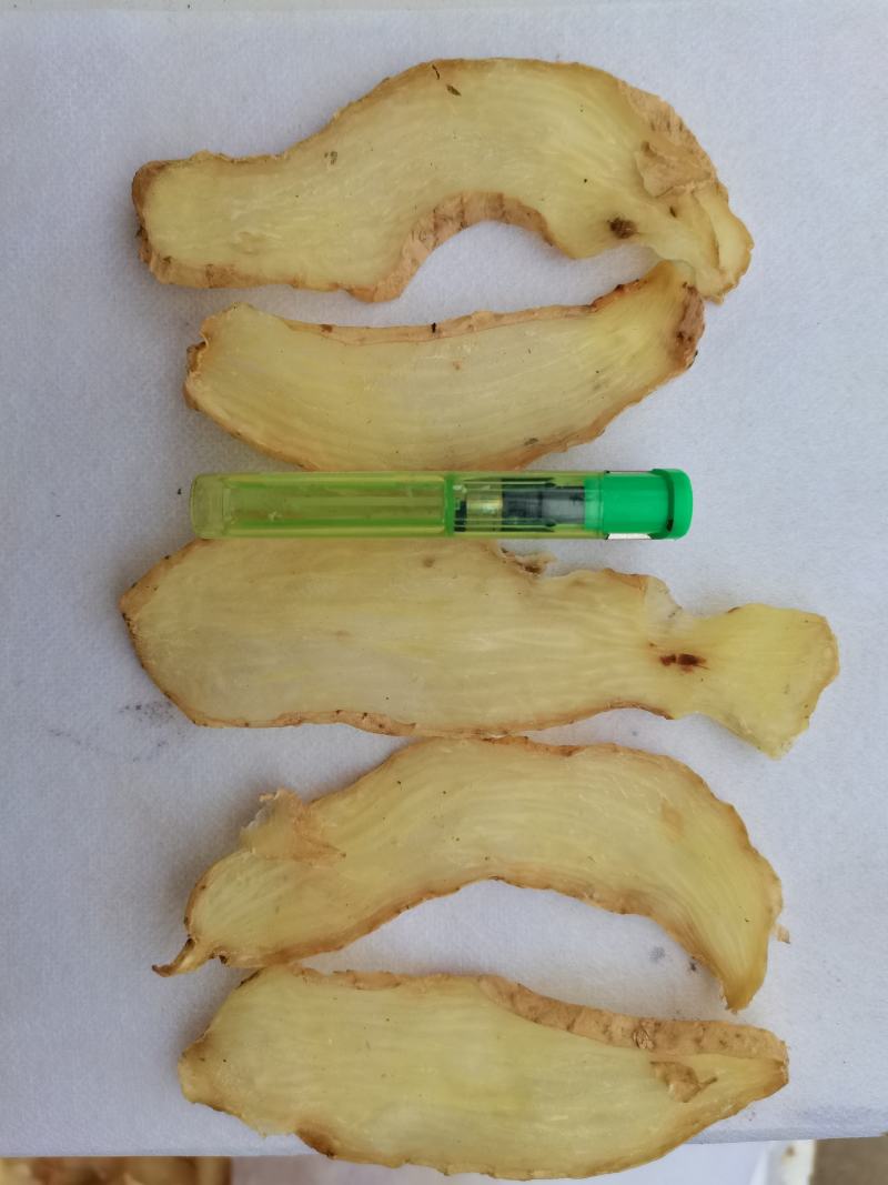天麻片陕西汉中基地直供，保证质量，量大从优，支持视频看货
