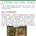 七彩辣椒种子四季播五彩椒朝天椒种子籽阳台盆栽高产辣椒蔬菜