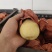 小酥梨口感酥脆甘甜，果面干净，果肉细腻，个头均匀