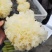 未出耳银耳菌棒银耳菌包精品银耳包可以到基地考察参观