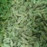 新疆葡萄干绿香妃北京王免洗无核，干度好颗粒饱满均匀！