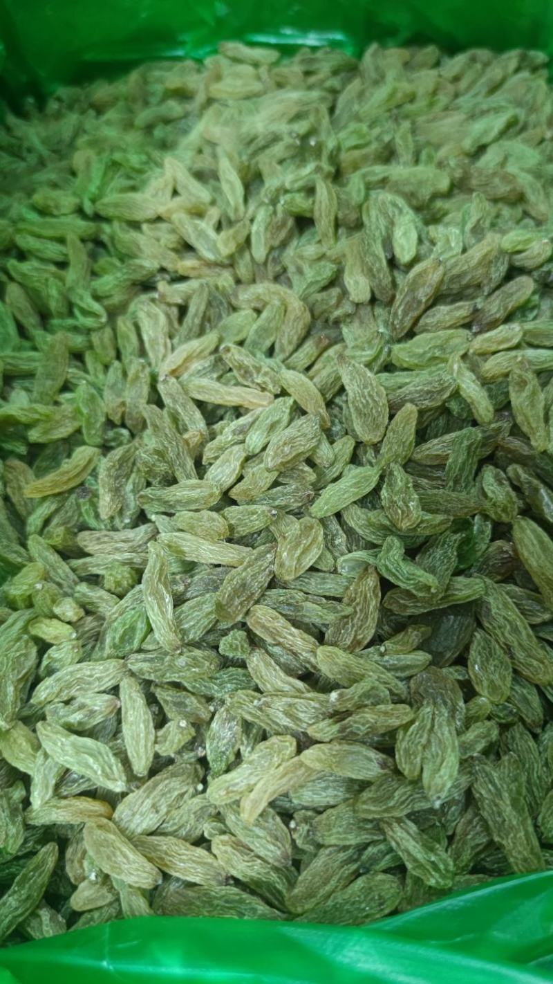 新疆葡萄干绿香妃北京王免洗无核，干度好颗粒饱满均匀！