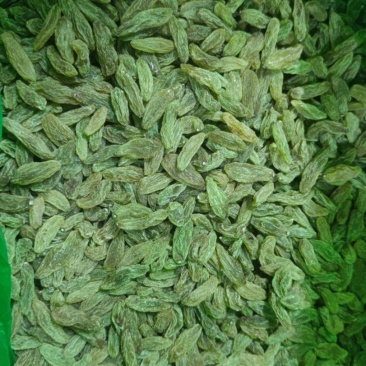 新疆葡萄干绿香妃北京王免洗无核，干度好颗粒饱满均匀！