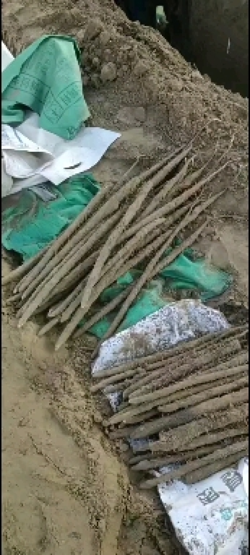 麻山药，淮山药，双棒，紫药，小白嘴，棒药各种品种齐全