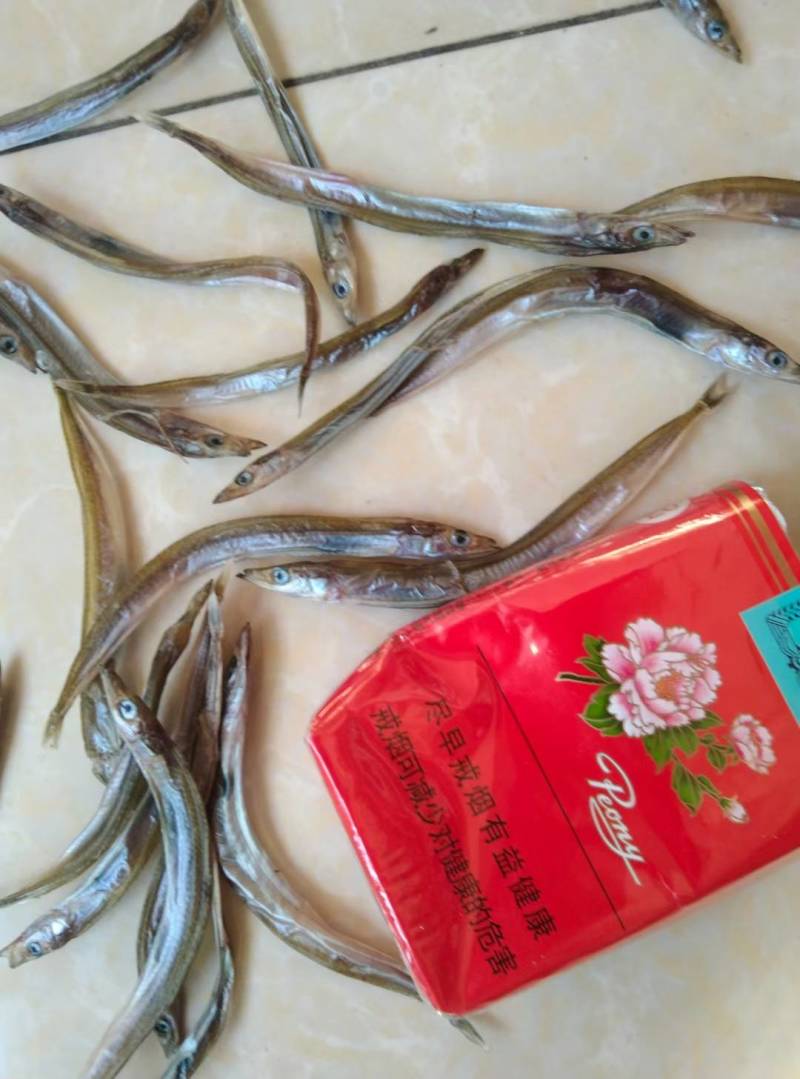 面条鱼（银针鱼）