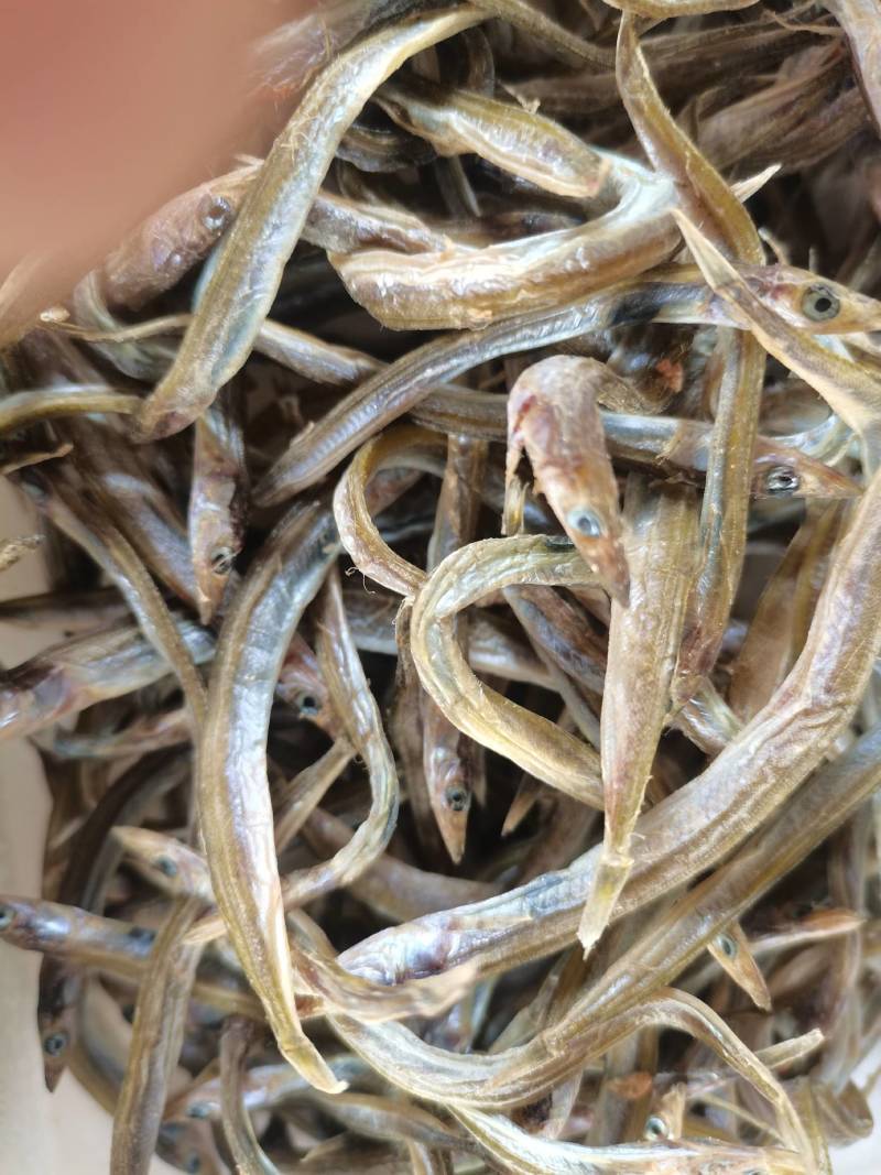 面条鱼（银针鱼）