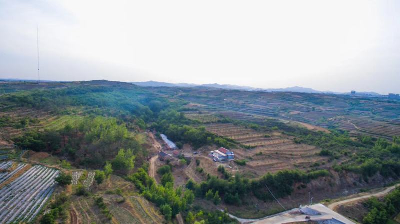 出租农场，适合农家乐，原生态养殖，种植，设施齐全，水泥路