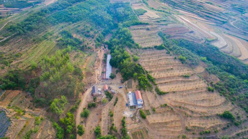 出租农场，适合农家乐，原生态养殖，种植，设施齐全，水泥路