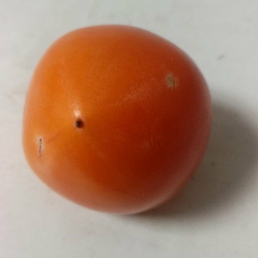 陕西富平大尖柿子现摘现发口感丝滑皮薄肉厚滑嫩多汁放软后吃