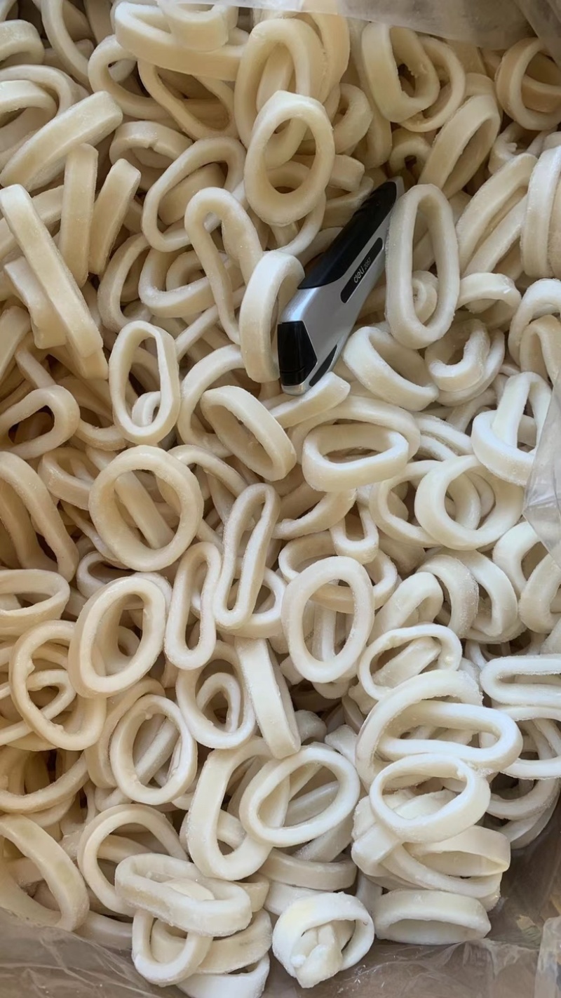 真鱿圈