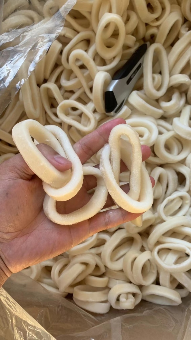 真鱿圈