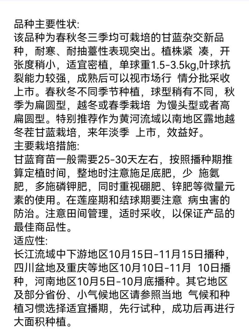 耐寒越冬甘蓝种子雪域绿耐低温耐抽苔露地过冬反季节甘蓝