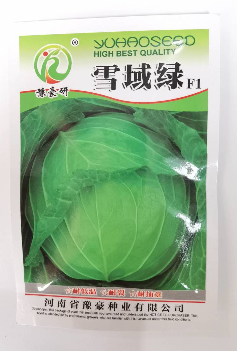 耐寒越冬甘蓝种子雪域绿耐低温耐抽苔露地过冬反季节甘蓝