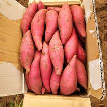 西瓜红蜜薯，产区直发