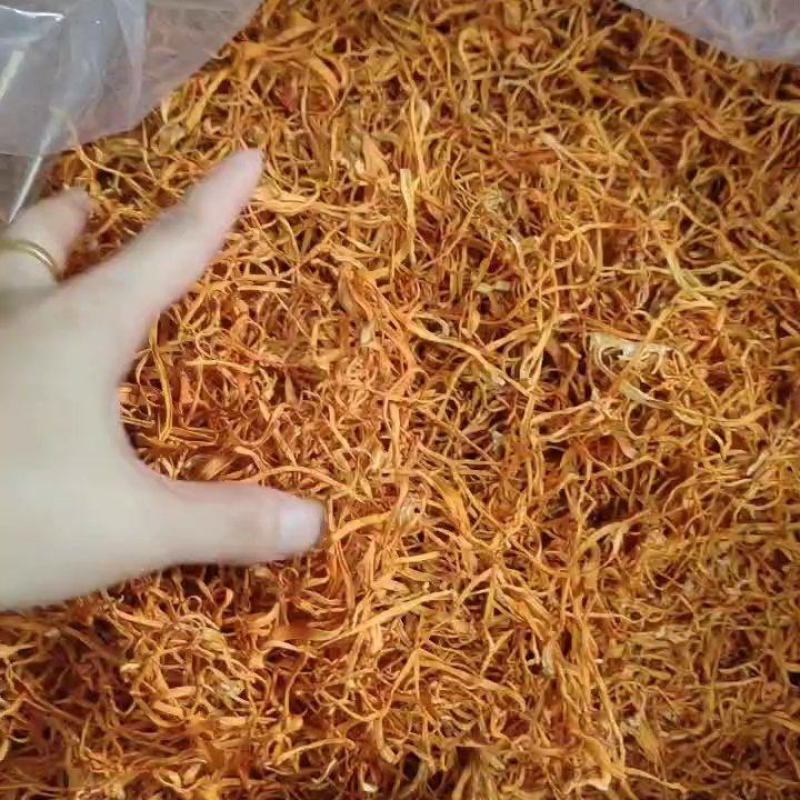 虫草花-切根虫草花，无硫虫草花一手货源货量充足批发供应
