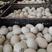 辽宁营口鲜鸭蛋，大量有货，主要对接东三省客户，欢迎咨询