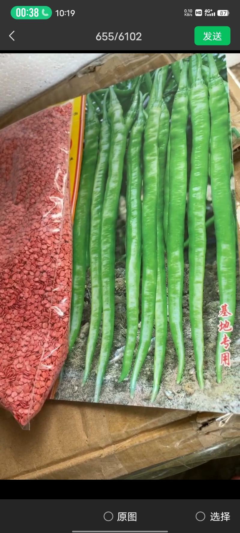 [热卖]云南玉溪辣椒苗辣椒种苗产地直发基地种植